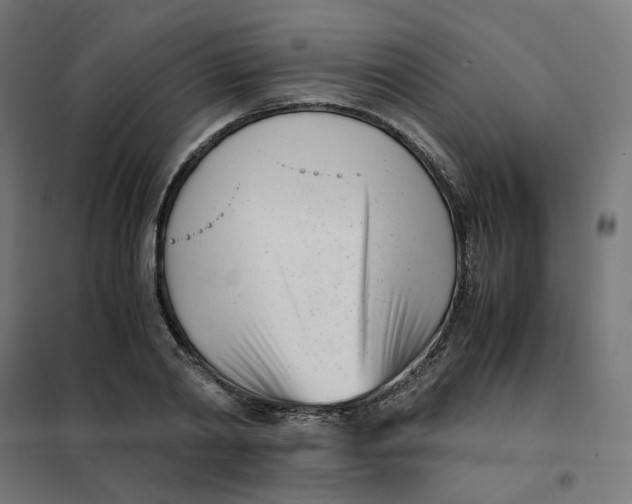 X0000102030790200808081810