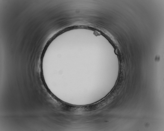 X0000102030791200808081810