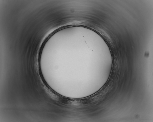 X0000102030792200808081810