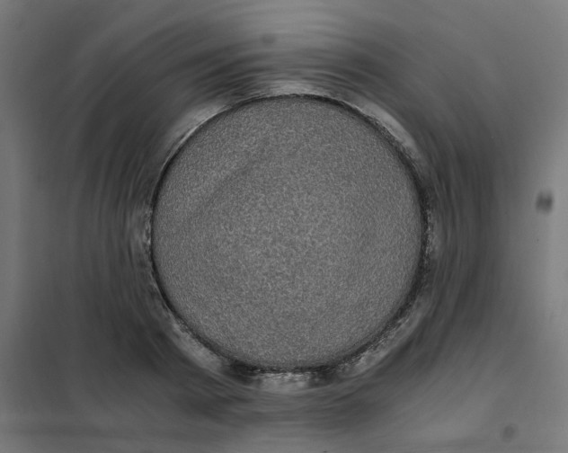 X0000102030793200808081810