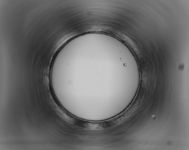 X0000102030794200808081810