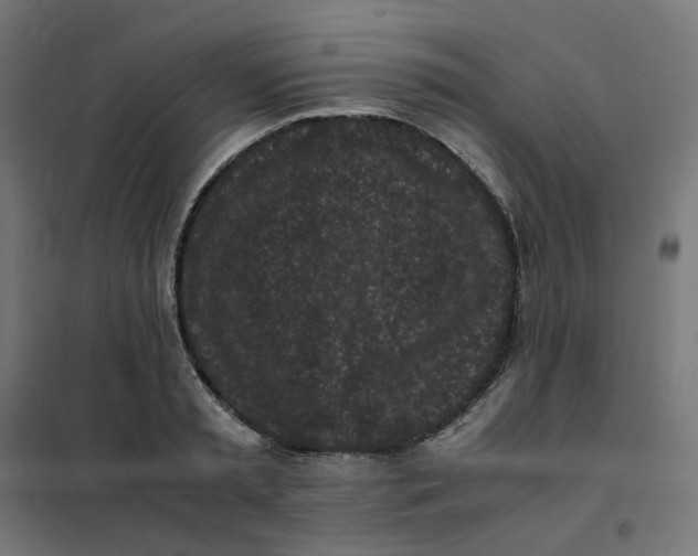 X0000102030797200808081810