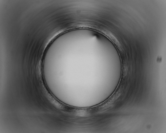 X0000102030798200808081810