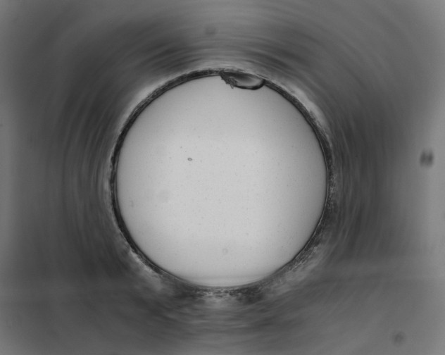 X0000102030799200808081810