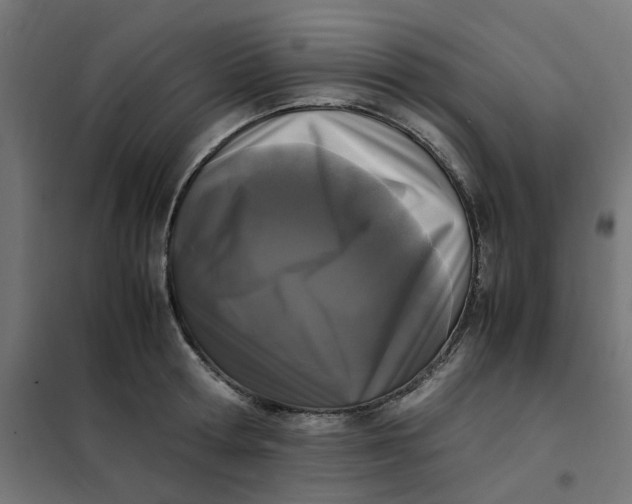 X0000102030802200808081810