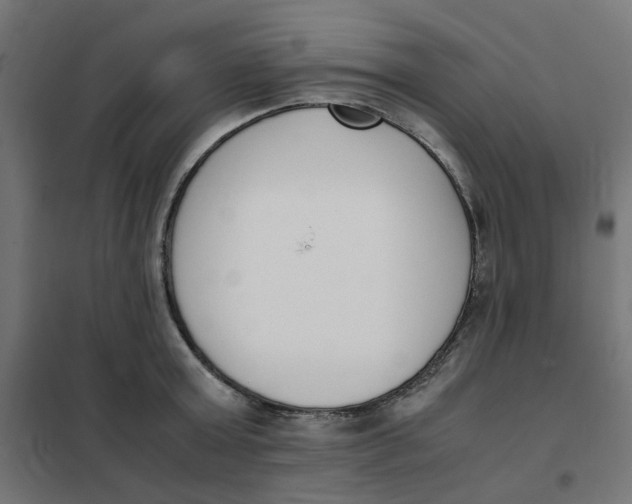 X0000102030803200808081810