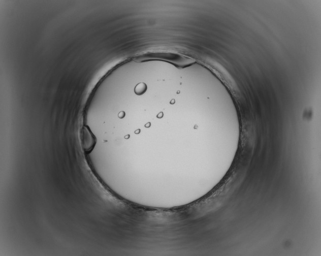 X0000102030804200808081810