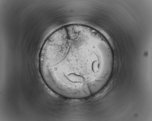 X0000102030807200808081810