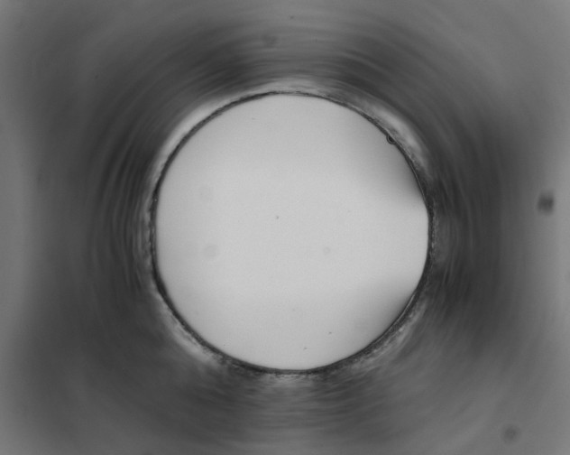 X0000102030808200808081810