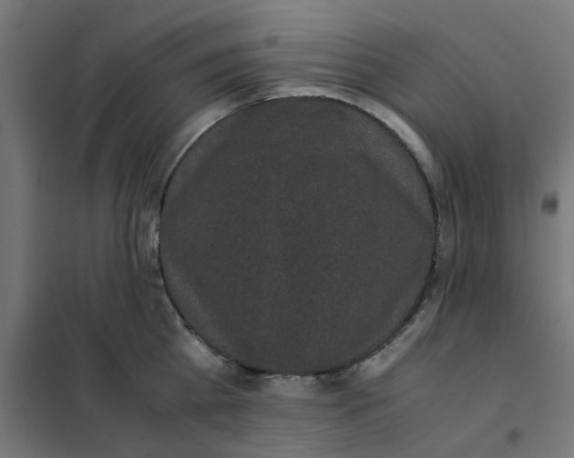 X0000102030809200808081810