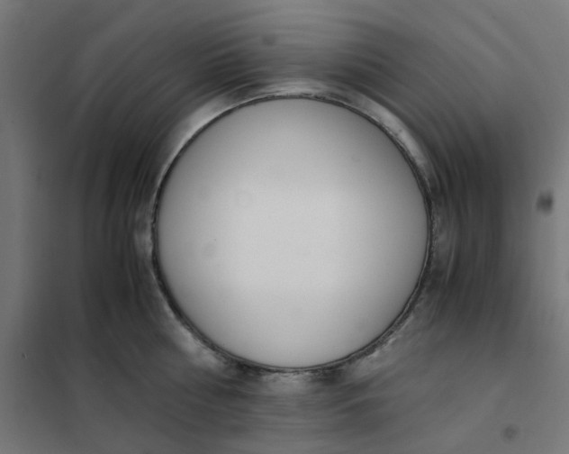 X0000102030810200808081810