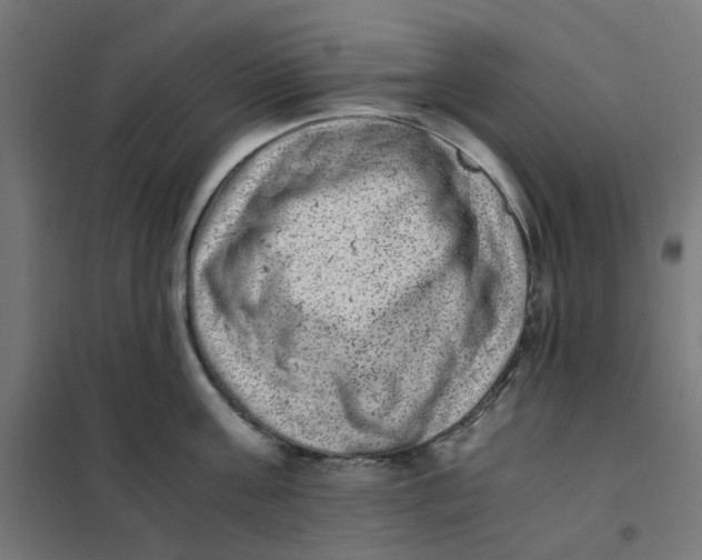 X0000102030811200808081810