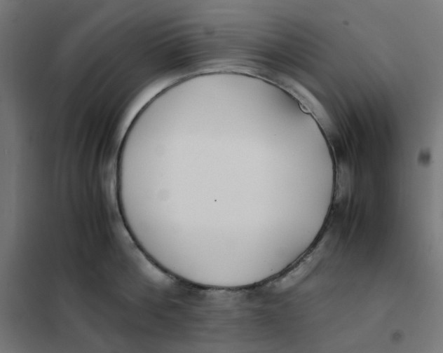 X0000102030812200808081810