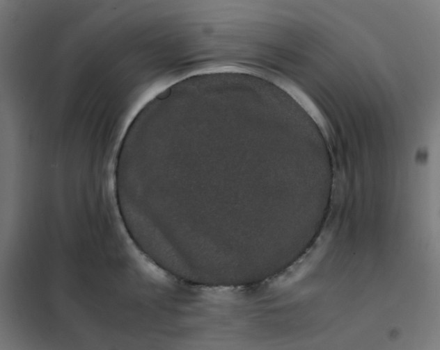 X0000102030813200808081810