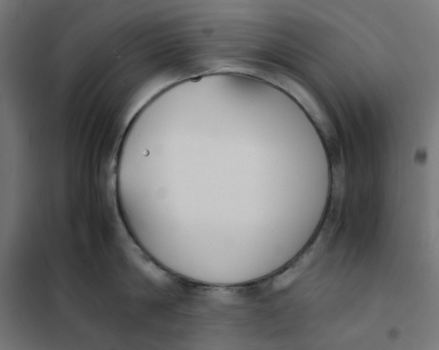 X0000102030814200808081810