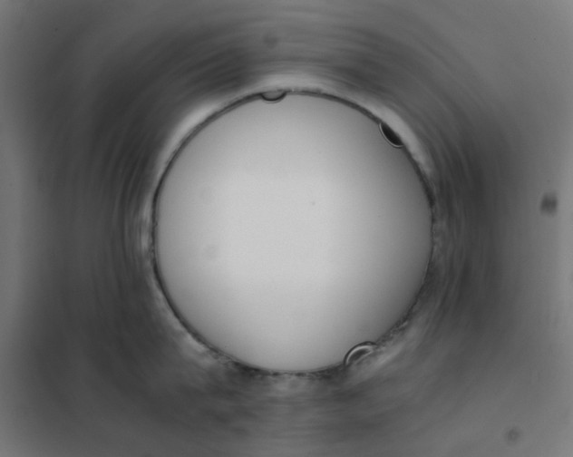 X0000102030815200808081810