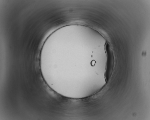 X0000102030816200808081810