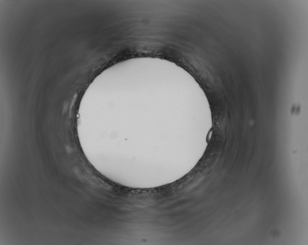 X0000102030817200808081809