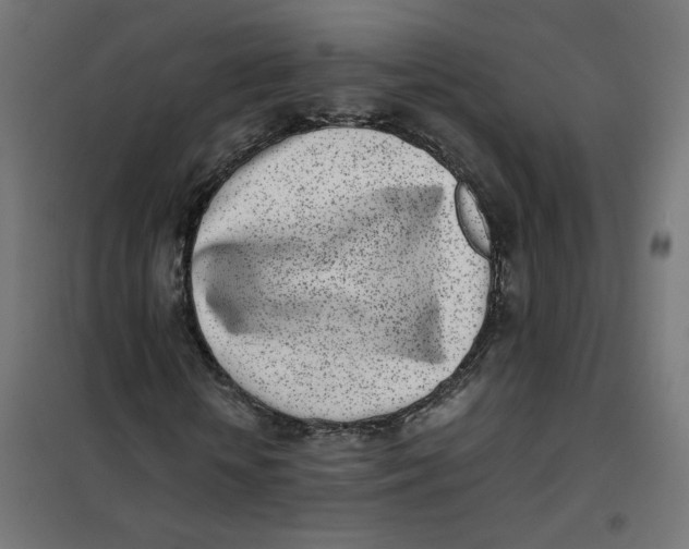 X0000102030818200808081809