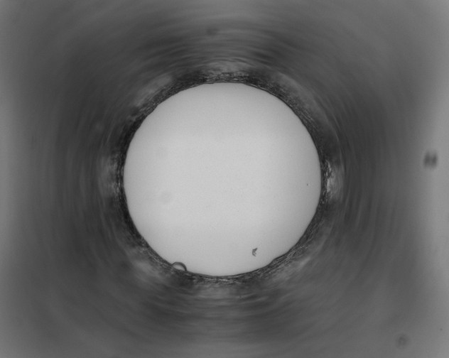 X0000102030819200808081809