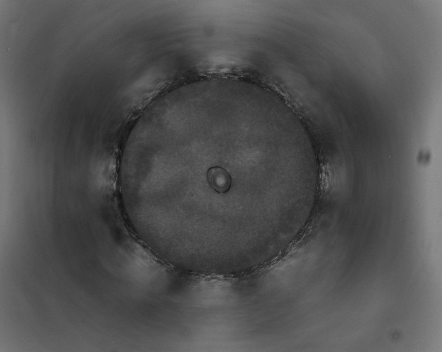 X0000102030820200808081809