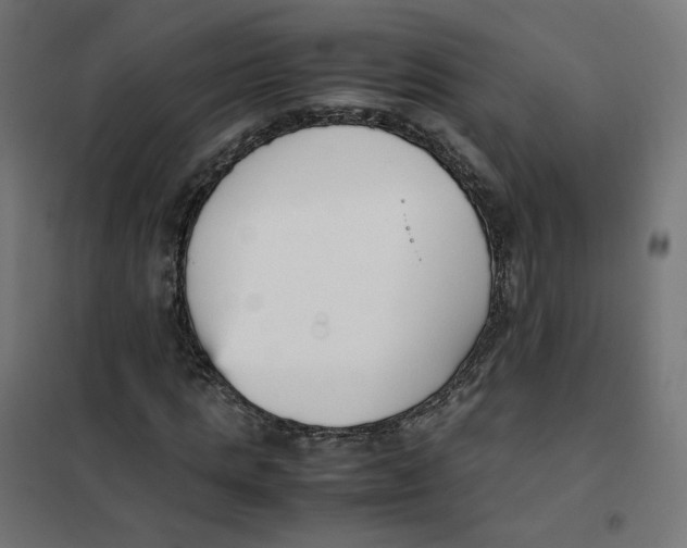 X0000102030821200808081809