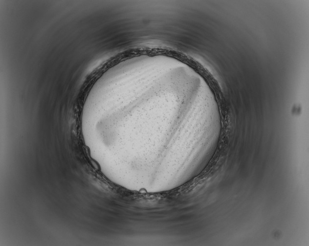 X0000102030823200808081809