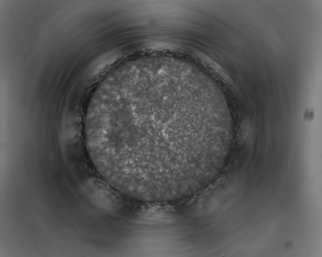 X0000102030824200808081809