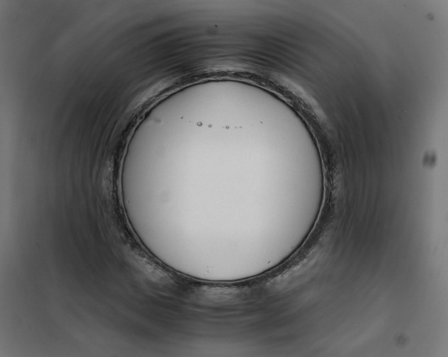 X0000102030825200808081809