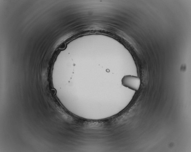 X0000102030826200808081809