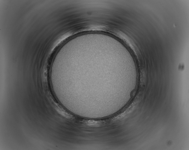 X0000102030827200808081810