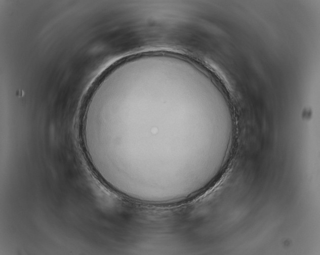 X0000102030828200808081810