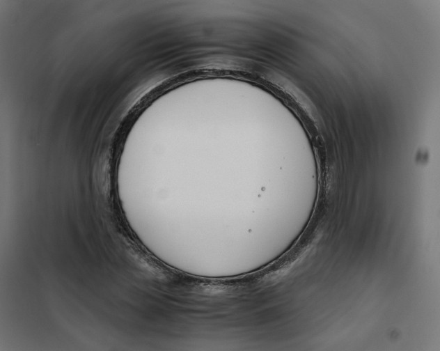 X0000102030829200808081810