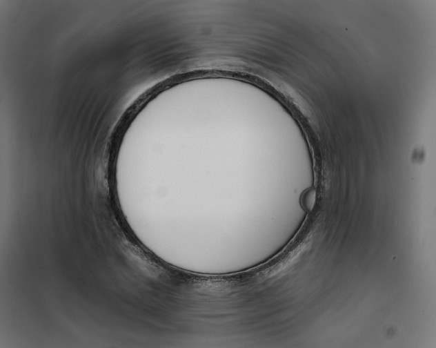 X0000102030830200808081810