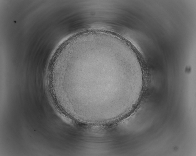 X0000102030832200808081810