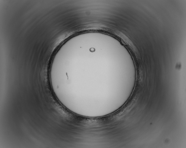 X0000102030834200808081810