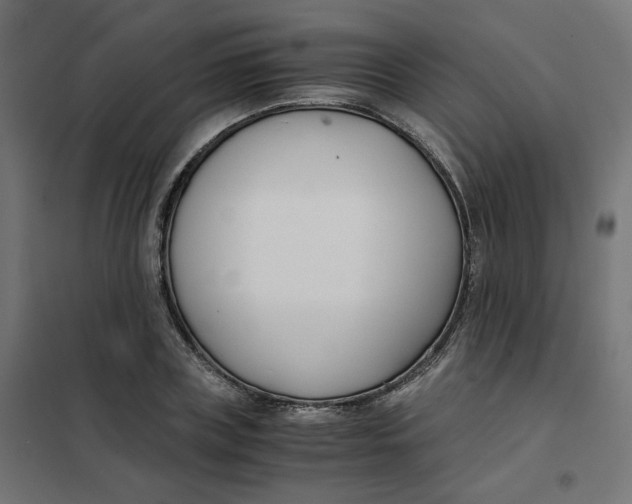 X0000102030835200808081810