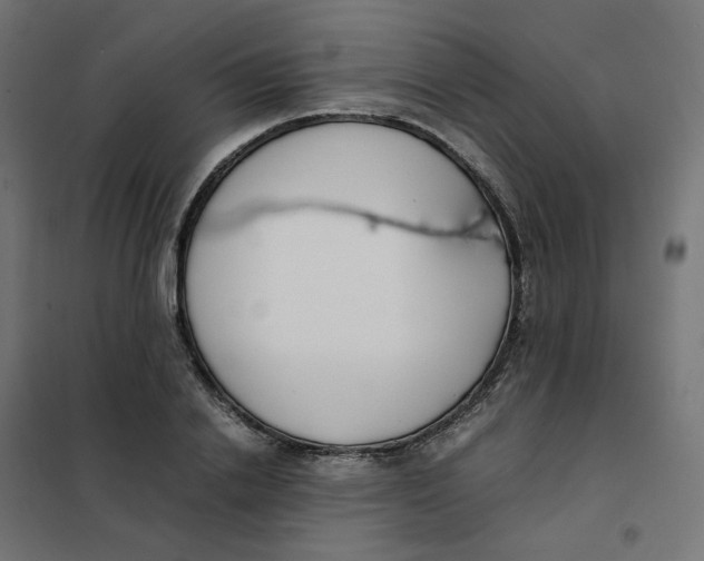 X0000102030838200808081810