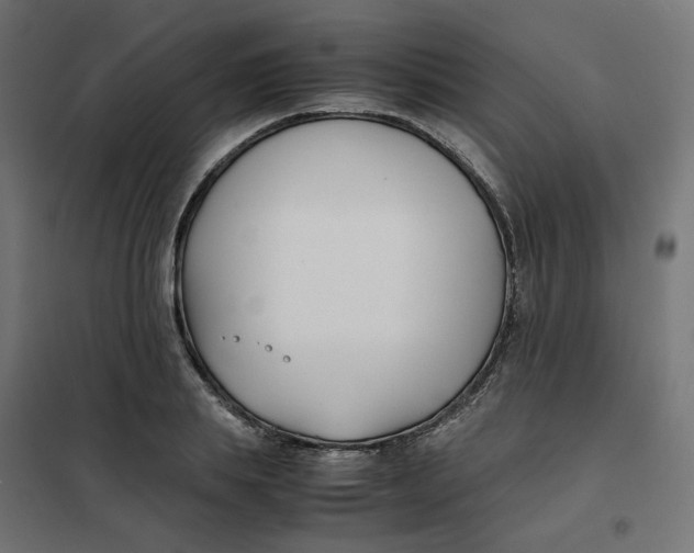 X0000102030839200808081810