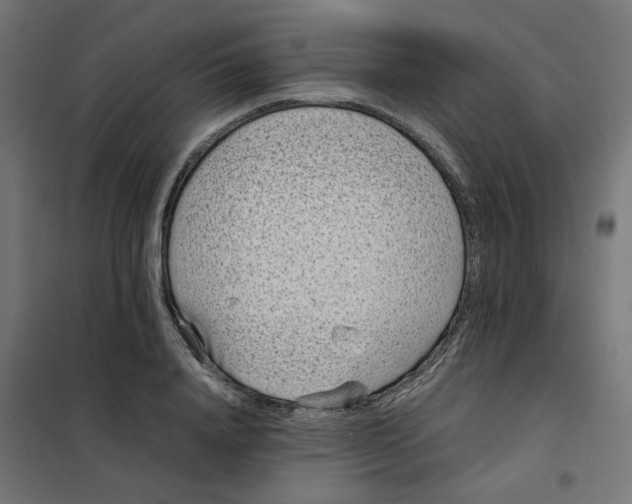 X0000102030840200808081810