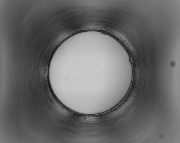 X0000102030841200808081810