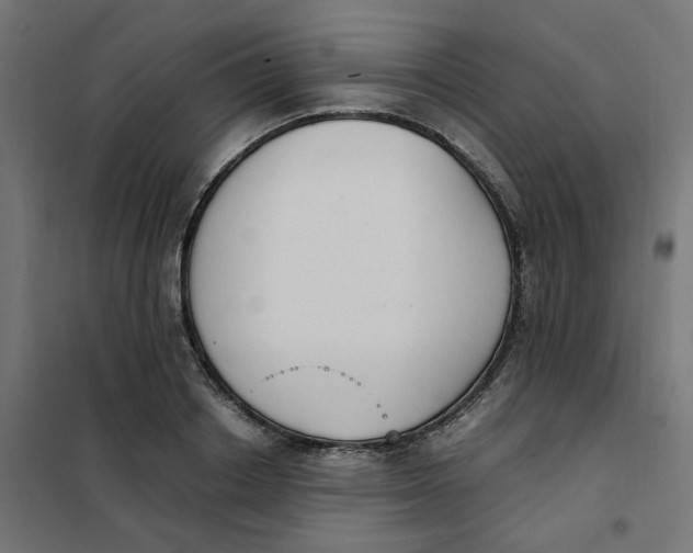 X0000102030842200808081810