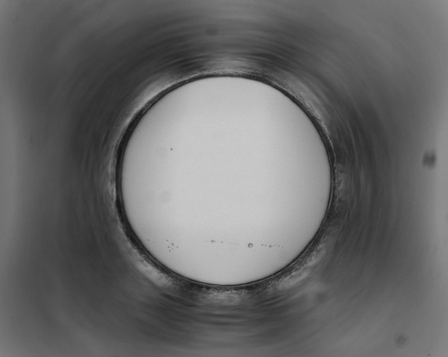 X0000102030843200808081810