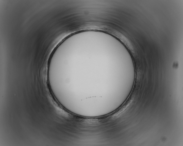 X0000102030844200808081810