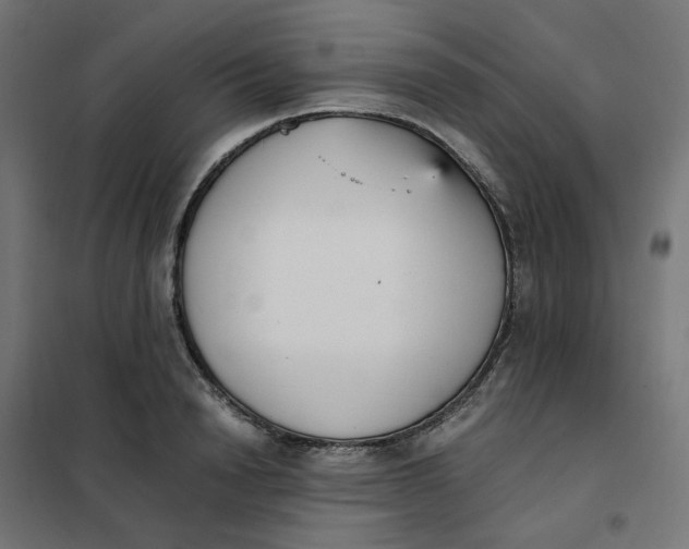 X0000102030846200808081810