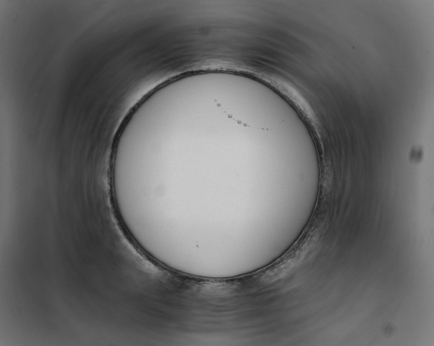 X0000102030847200808081810