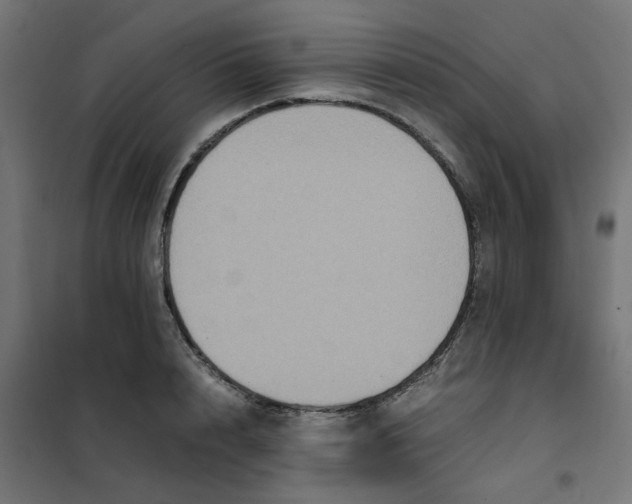 X0000102030848200808081810