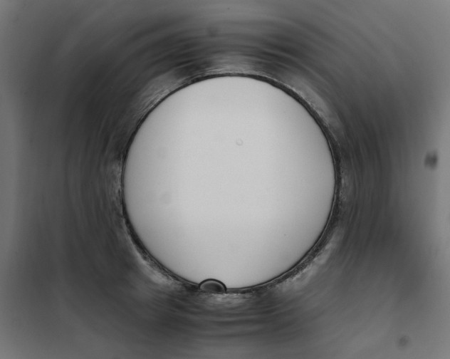 X0000102030849200808081810