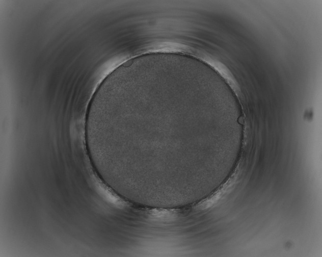 X0000102030850200808081810