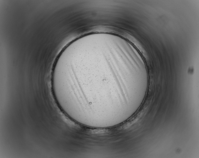 X0000102030853200808081810